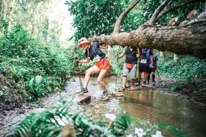 BIB: 
                            <button type="button" onclick="openModal(25517908)" class="btn btn-primary btn-sm float-right btn-popup" data-toggle="modal" data-target=".modal-high-quality">
                        <i class="fas fa-shopping-cart"></i> Add to Cart
                    </button>
                                            <button type="button" onclick="isThisMe(25517908, true)" class="btn btn-success btn-sm float-right btn-popup btn-isme hidden" data-toggle="tooltip" data-placement="bottom" title="นี่คือรูปของคุณใช่ไหม คลิกที่นี่เพื่อเอาเข้าอัลบั้ม">
                        <i class="fas fa-plus"></i> Add to album
                    </button>
                    <button type="button" onclick="isThisMe(25517908, false)" class="btn btn-warning btn-sm float-right btn-popup btn-isnotme hidden">
                        <i class="fas fa-ban"></i> Remove from album
                    </button>